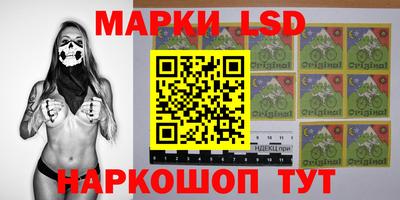 гашик Сланцы