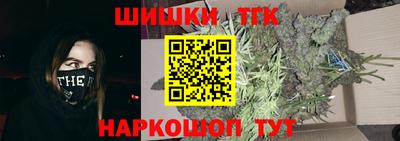 гашик Сланцы