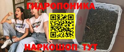 spice Славгород