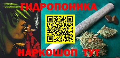 гашик Сланцы