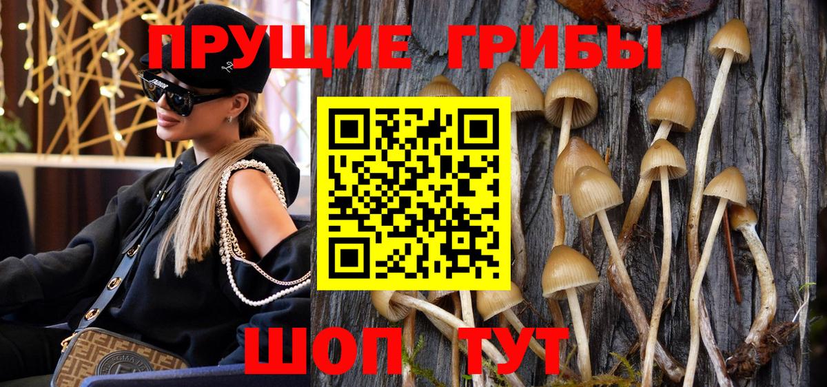 где купить наркоту  Вход с VPN  Междуреченск  Галлюциногенные грибы мухоморы 